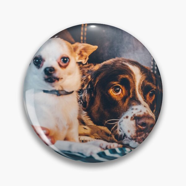 Item preview, Mason and Cujo Dog - Stephen King - Halloween Clutches Play Please designed and sold by DogStephenCook.