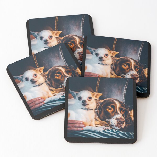 Item preview, Mason and Cujo Dog - Stephen King - Halloween Clutches Play Please designed and sold by DogStephenCook.