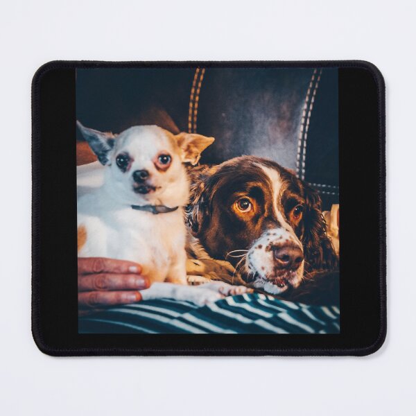 Item preview, Mason and Cujo Dog - Stephen King - Halloween Clutches Play Please designed and sold by DogStephenCook.