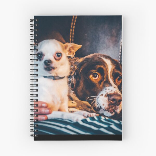 Item preview, Mason and Cujo Dog - Stephen King - Halloween Clutches Play Please designed and sold by DogStephenCook.