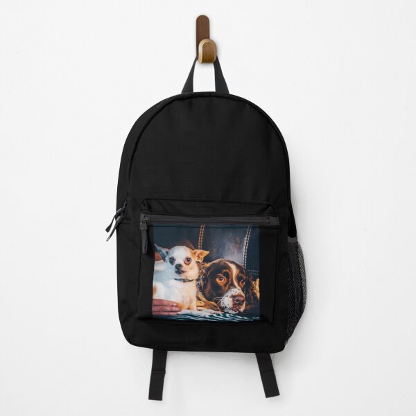Item preview, Mason and Cujo Dog - Stephen King - Halloween Clutches Play Please designed and sold by DogStephenCook.