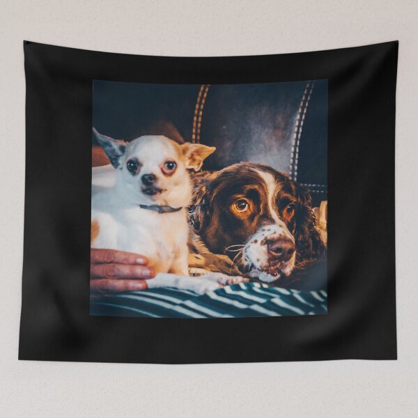 Item preview, Mason and Cujo Dog - Stephen King - Halloween Clutches Play Please designed and sold by DogStephenCook.
