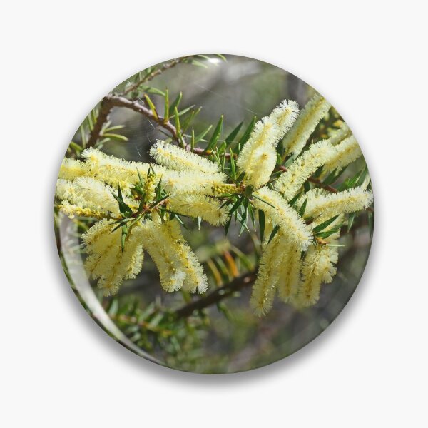 Item preview, Australian Wattle designed and sold by Doug Cliff.
