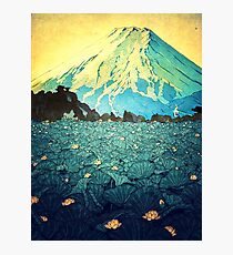 Waddling through Kennijo Lake Photographic Print