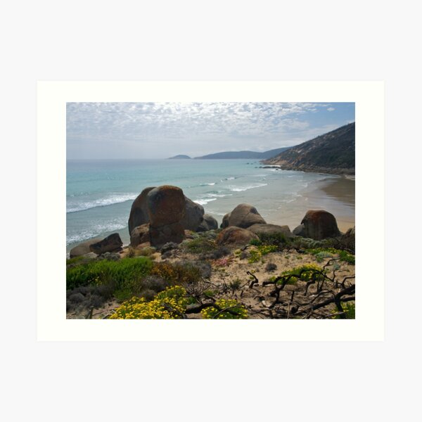 Wilsons Promontory, Victoria. Art Print