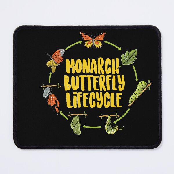 Item preview, Monarch Butterfly Lifcycle designed and sold by Sandra78.