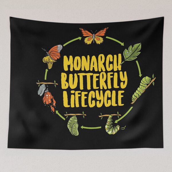 Item preview, Monarch Butterfly Lifcycle designed and sold by Sandra78.