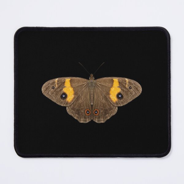 Item preview, Varied Sword-grass Brown butterfly designed and sold by quentinjlang.