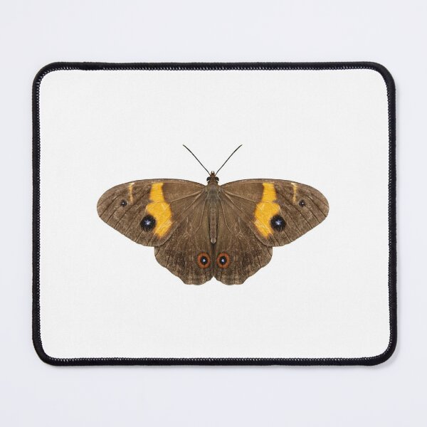 Item preview, Varied Sword-grass Brown butterfly 2 designed and sold by quentinjlang.
