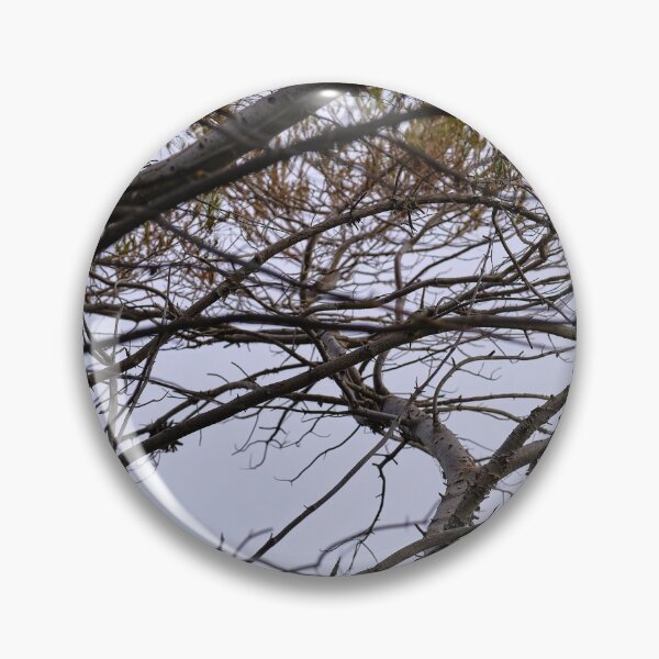 Item preview, pine branches designed and sold by Kiran-Fine-Art.