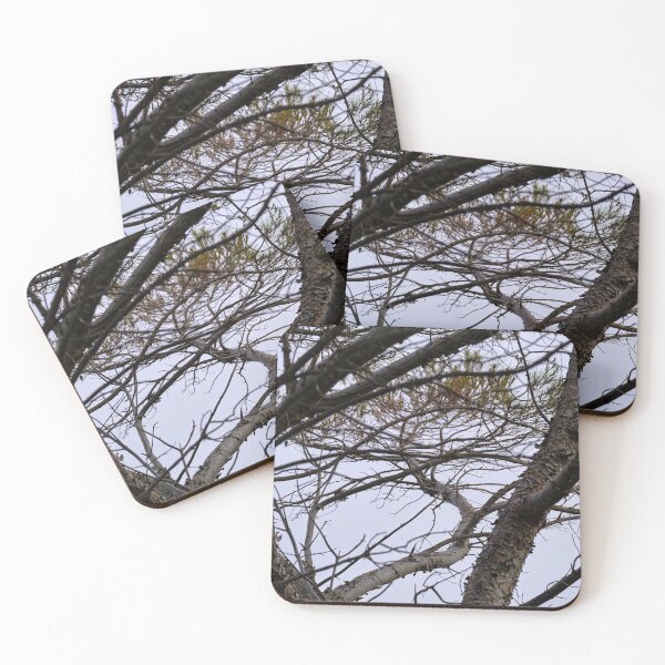 Item preview, pine branches designed and sold by Kiran-Fine-Art.