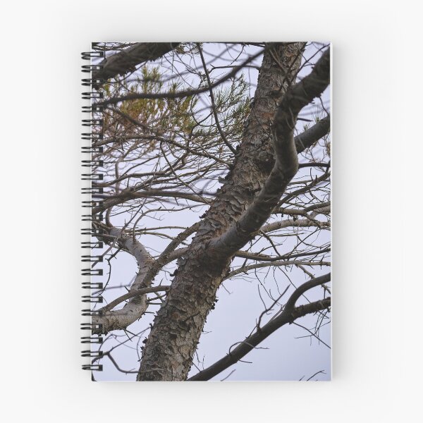 Item preview, pine branches designed and sold by Kiran-Fine-Art.