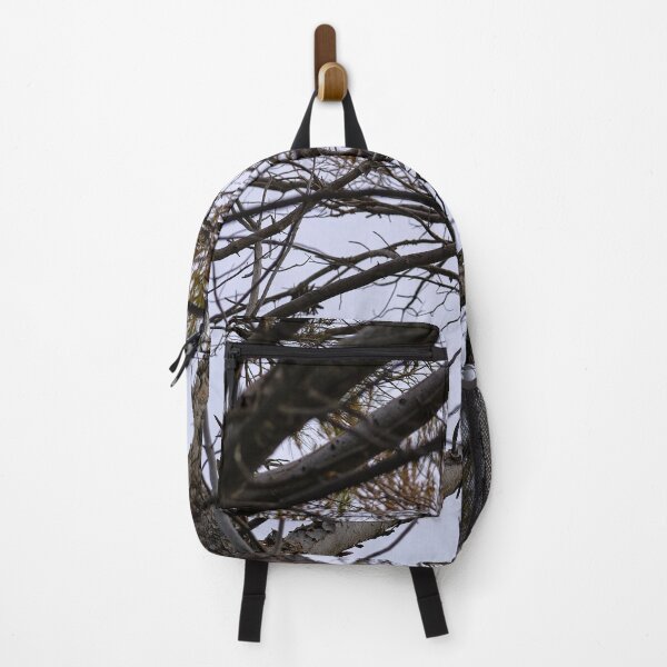 Item preview, pine branches designed and sold by Kiran-Fine-Art.