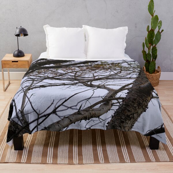 Item preview, pine branches designed and sold by Kiran-Fine-Art.