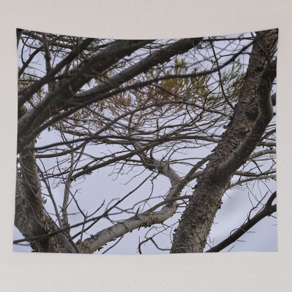 Item preview, pine branches designed and sold by Kiran-Fine-Art.