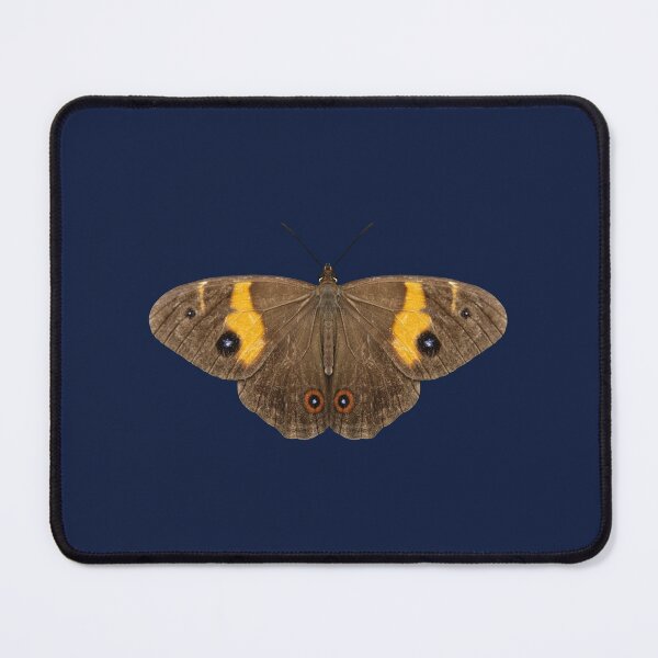 Item preview, Varied Sword-grass Brown butterfly 3 designed and sold by quentinjlang.