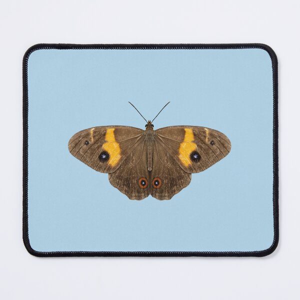 Item preview, Varied Sword-grass Brown butterfly 4 designed and sold by quentinjlang.