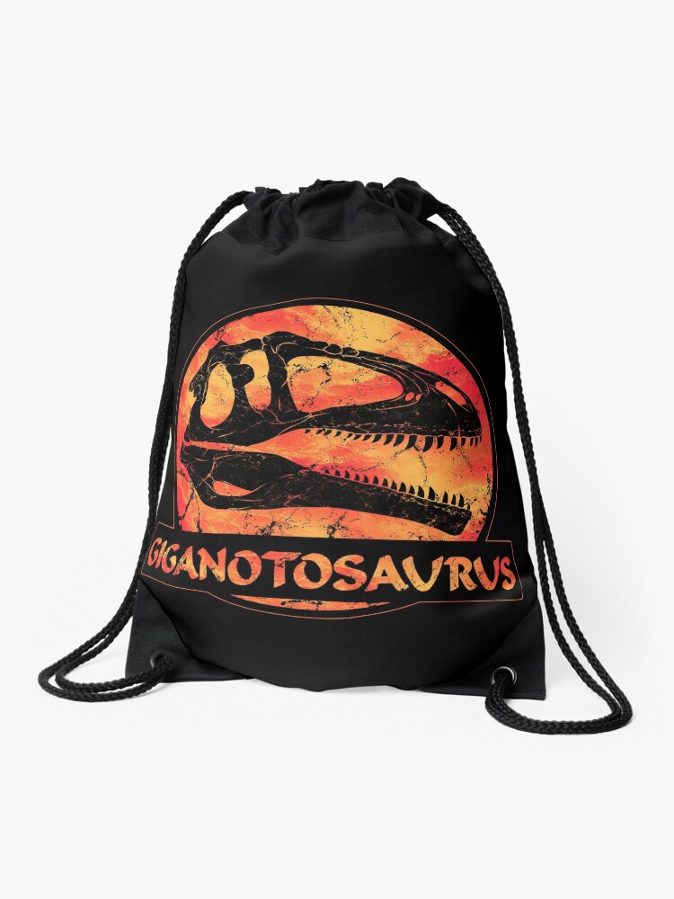 Fossil discount drawstring bag