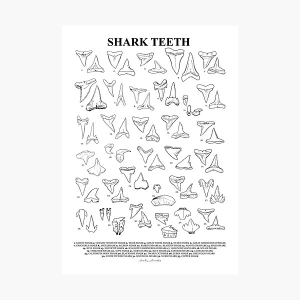 Item preview, SHARK TEETH poster with names x33 designed and sold by BEATRIZ ABAITUA.