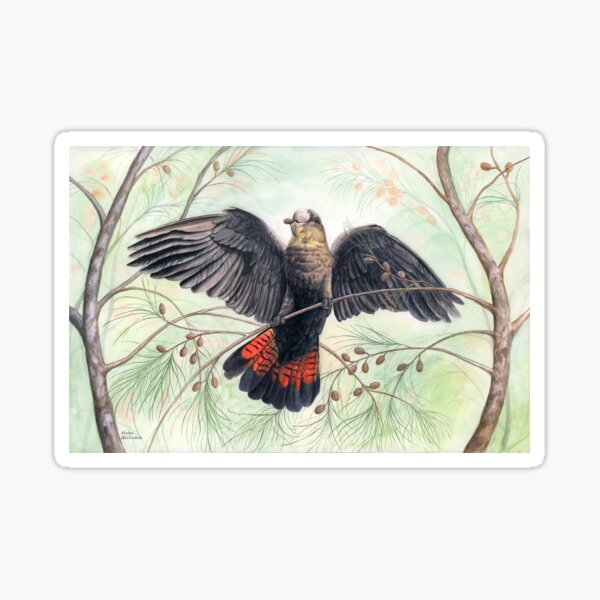 Glossy Black Cockatoo art by Nadya Neklioudova Sticker