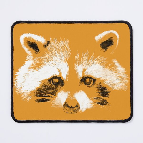 Item preview, Raccoon  designed and sold by Samtorio.