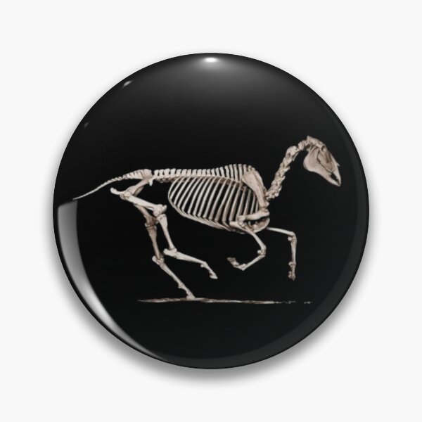 Item preview, Horse equine skeleton galloping designed and sold by HaychGee.