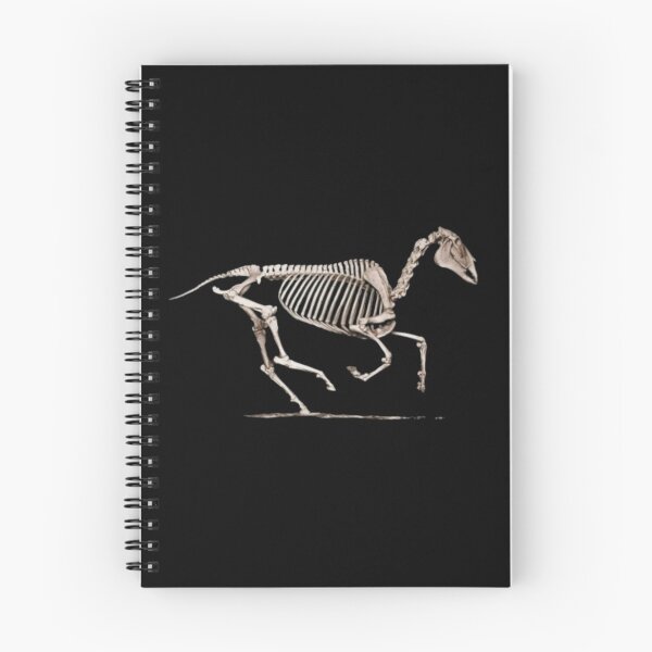 Item preview, Horse equine skeleton galloping designed and sold by HaychGee.