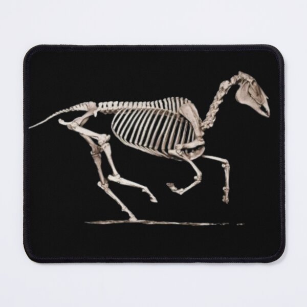 Item preview, Horse equine skeleton galloping designed and sold by HaychGee.