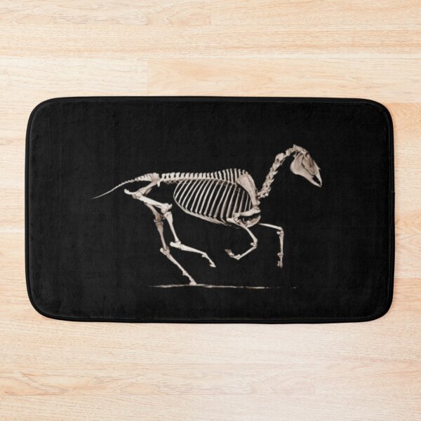 Item preview, Horse equine skeleton galloping designed and sold by HaychGee.