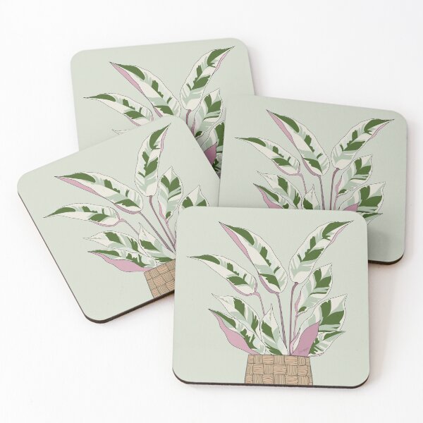 Item preview, Calathea White Fusion Basket designed and sold by TASORA.