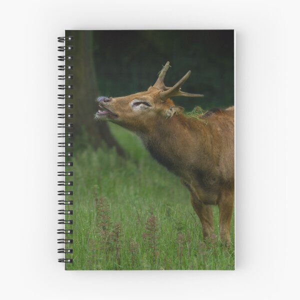 Item preview, Bellowing Pere David’s Deer  designed and sold by rawshutterbug.