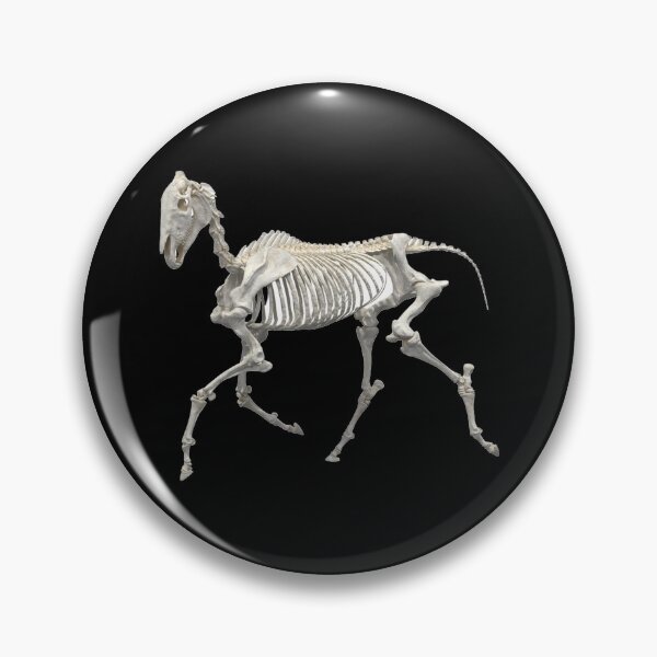 Item preview, Horse equine skeleton trotting designed and sold by HaychGee.