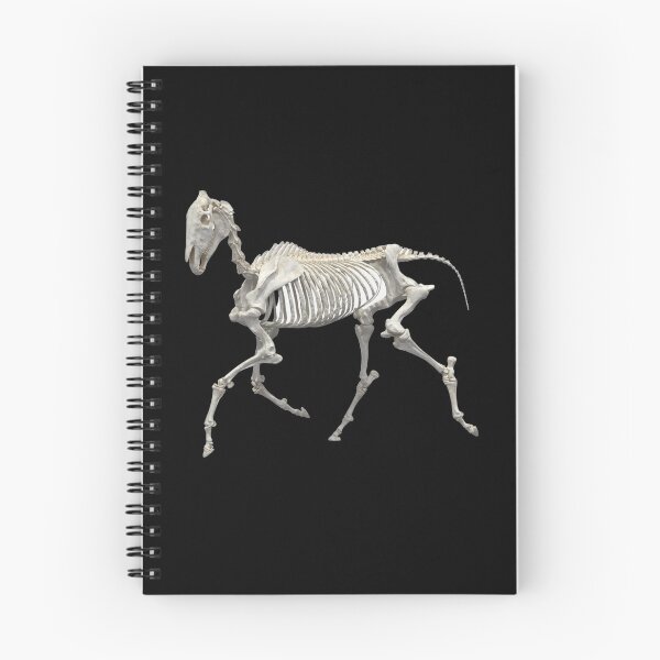 Item preview, Horse equine skeleton trotting designed and sold by HaychGee.
