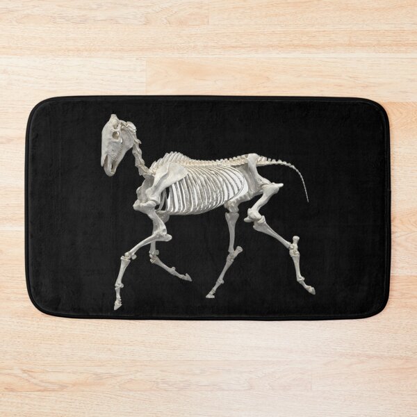 Item preview, Horse equine skeleton trotting designed and sold by HaychGee.