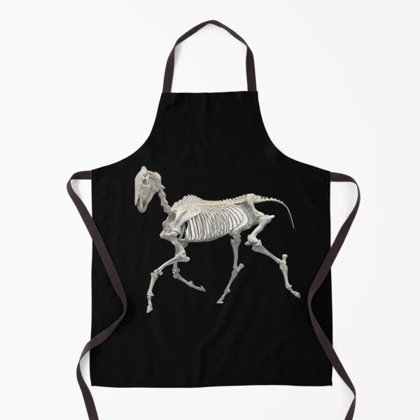 Item preview, Horse equine skeleton trotting designed and sold by HaychGee.