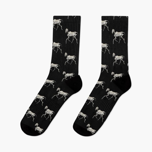 Item preview, Horse equine skeleton trotting designed and sold by HaychGee.