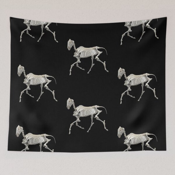 Item preview, Horse equine skeleton trotting designed and sold by HaychGee.