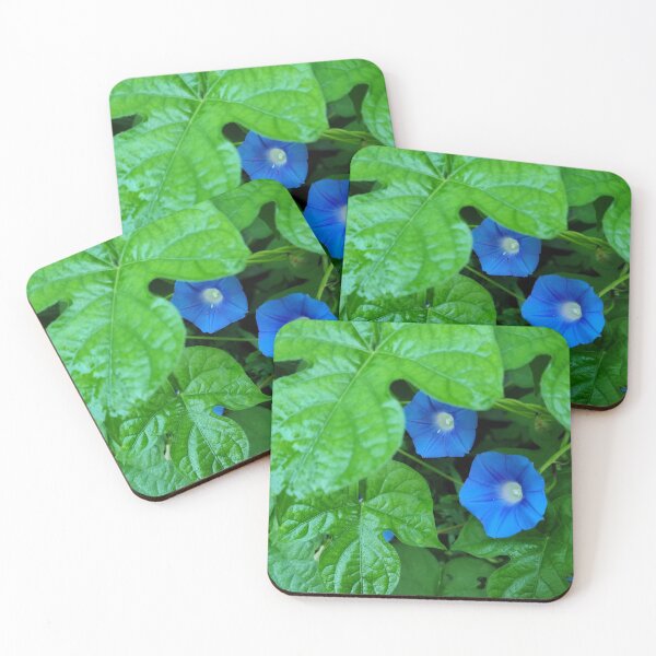Item preview, Morning glory flowers designed and sold by zchriswit.