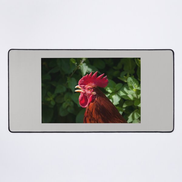 Item preview, Red cockerel with open beak. designed and sold by LindaCooke.