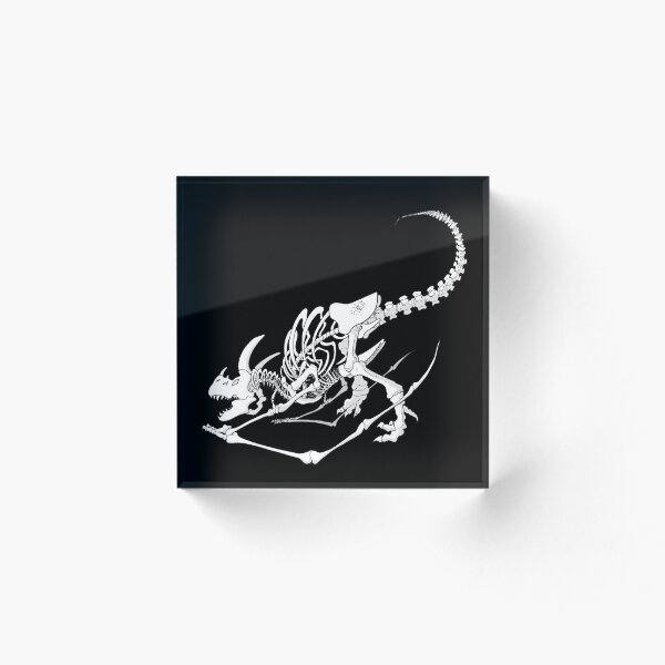 Aperçu de l'œuvre Squelette de Dragon créée et vendue par ChemineHerisson.