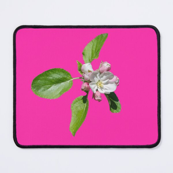 Apple blossom Mouse Pad