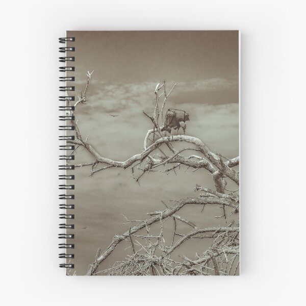 Item preview, Vultures at Top of Tree designed and sold by DFLC Prints.