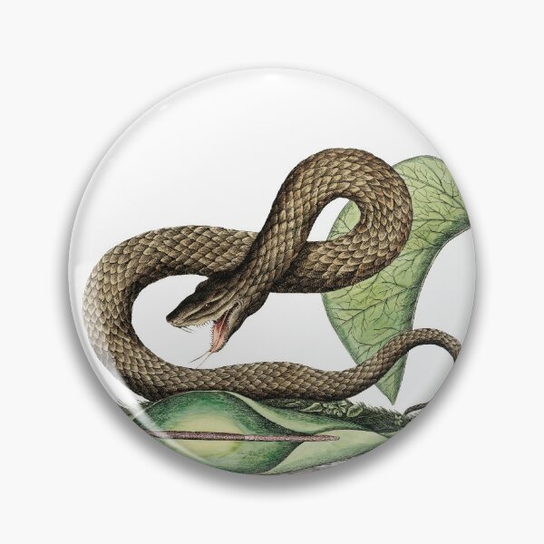 Artikelvorschau, Vintage braune Viperkunst mit gruseliger giftiger Schlange, die auf Blättern für Flora und Fauna rutscht entworfen und verkauft von wackodesign.