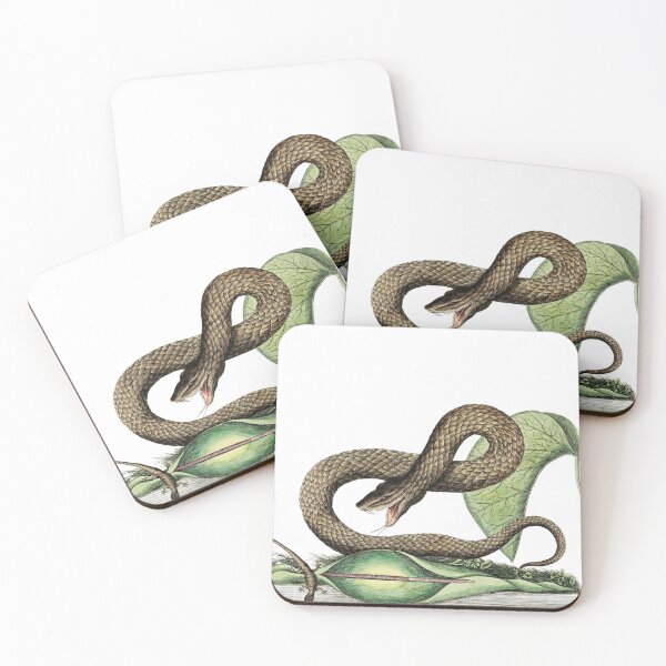 Item preview, Vintage brown viper art with scary venomous snake slithering on leaves for flora and fauna designed and sold by wackodesign.