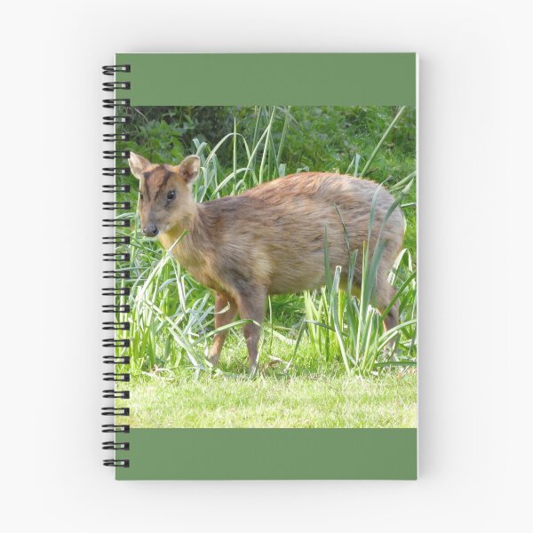 Item preview, A Beautiful Little Muntjac Deer designed and sold by Karen Thomson.