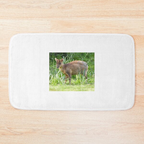 Item preview, A Beautiful Little Muntjac Deer designed and sold by Karen Thomson.