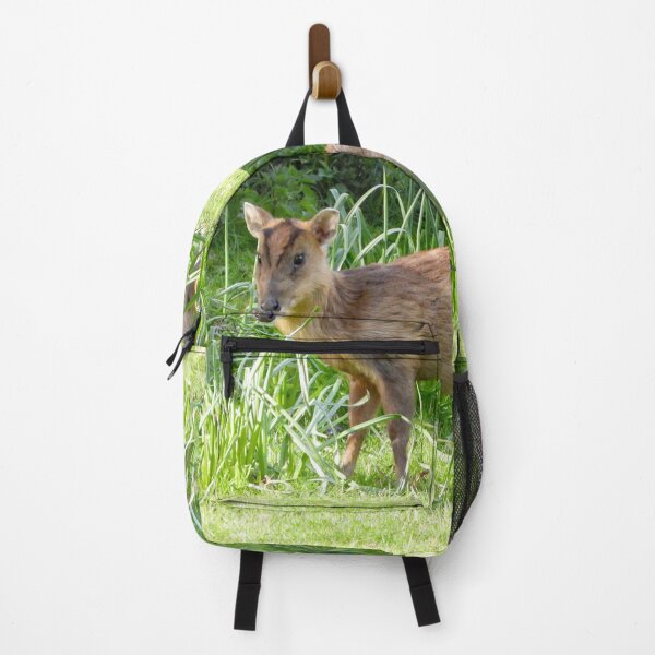 Item preview, A Beautiful Little Muntjac Deer designed and sold by Karen Thomson.