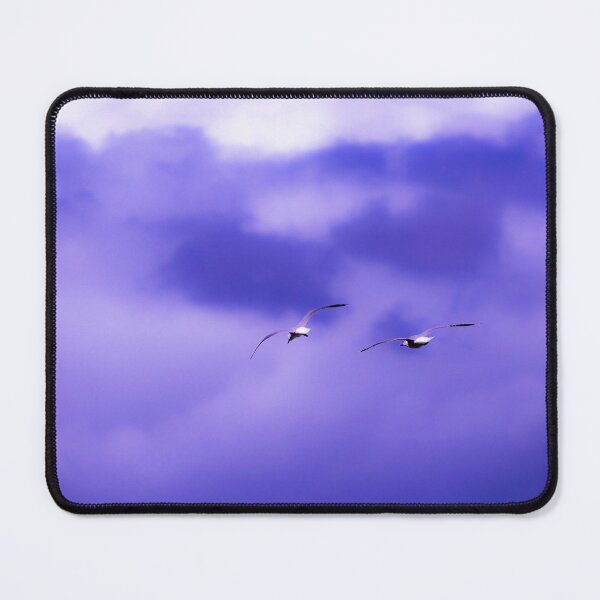 Item preview, Seagulls Aloft designed and sold by Guyzimijz.