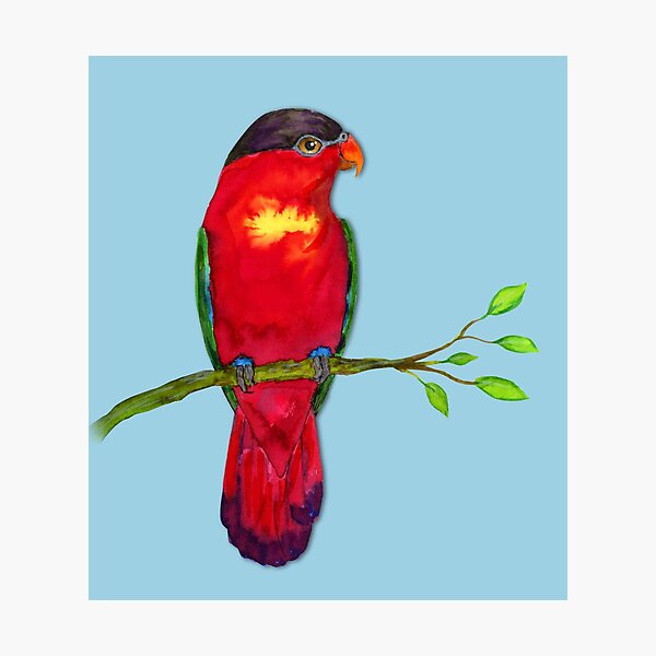 Item preview, Purple naped lory Watercolor designed and sold by Bwiselizzy.