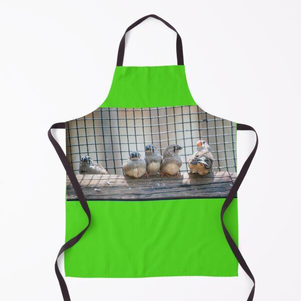 Item preview, Finches designed and sold by Guyzimijz.